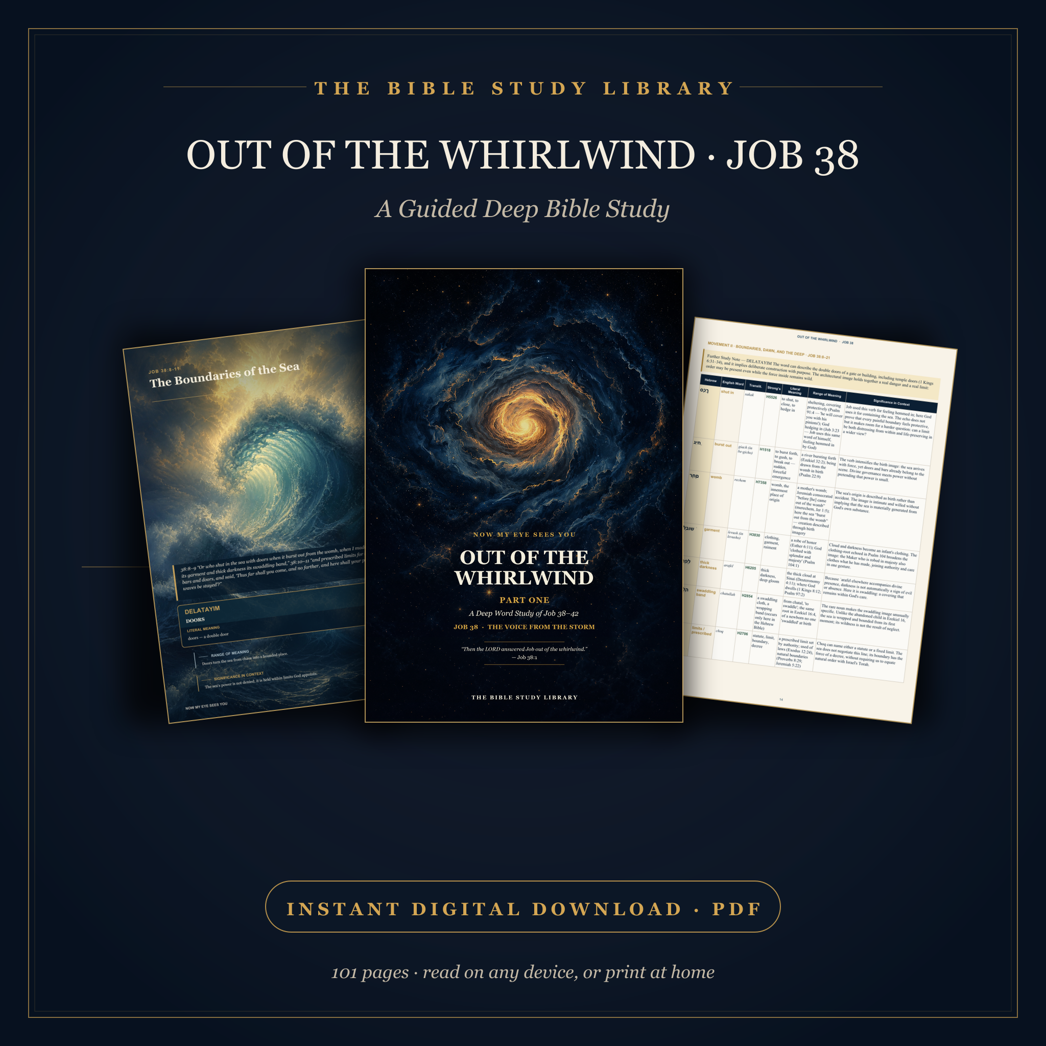 Out of the Whirlwind Job 38 101-page instant digital PDF with final cover and study pages